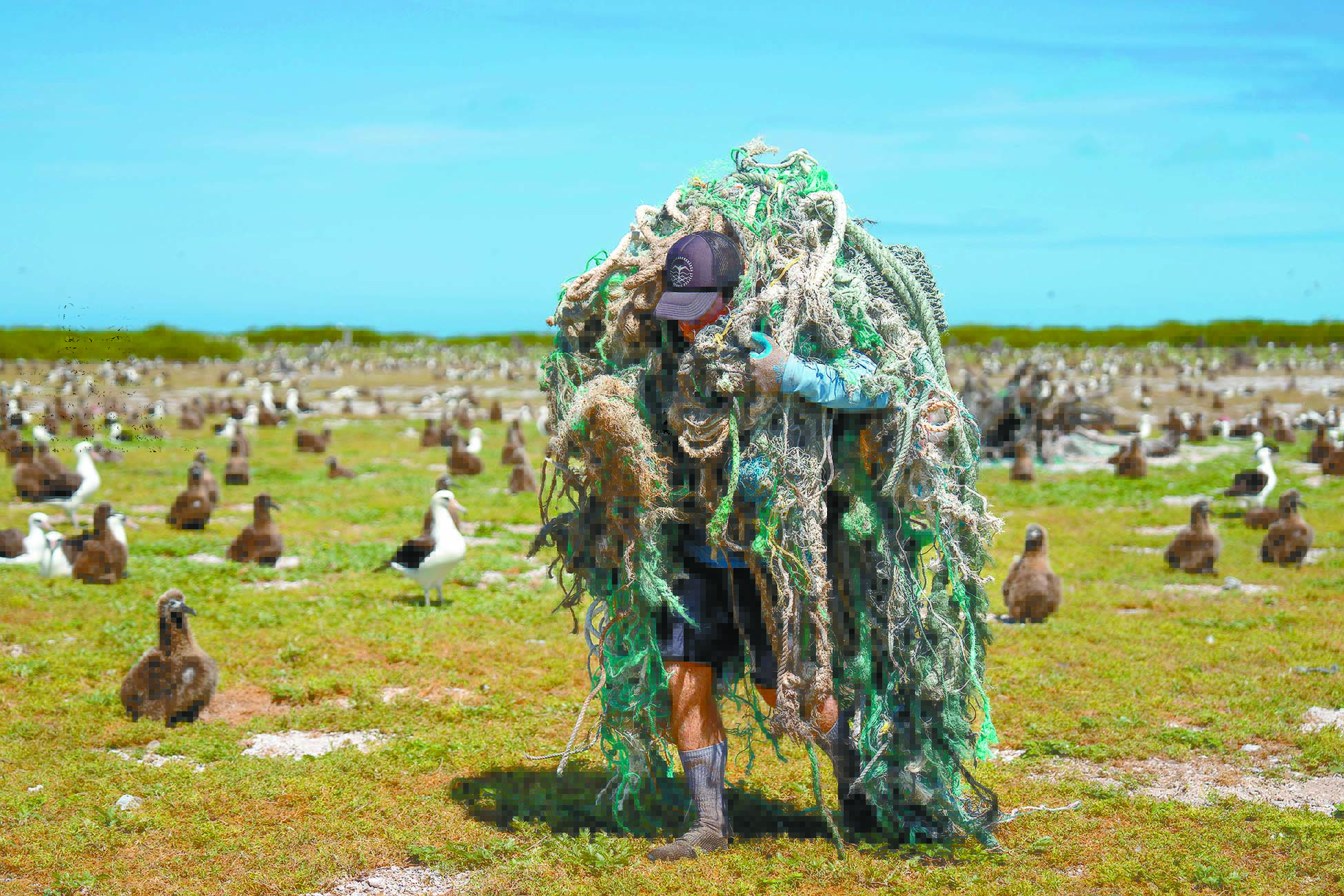 Project removes 70,080 lbs. of marine debris from Midway Atoll | News ...